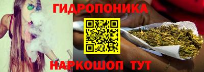 spice Новозыбков