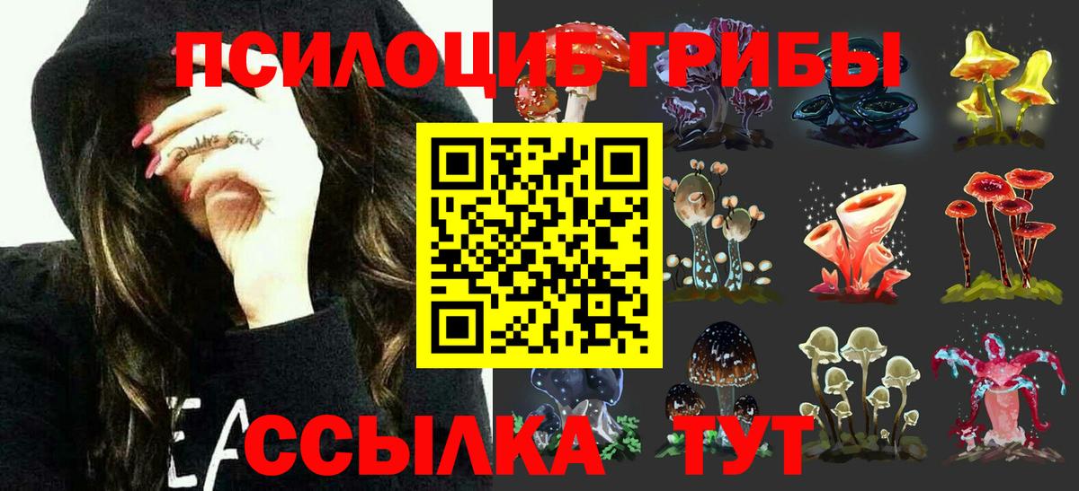 Ступино  как найти закладки  Вход с VPN  Псилоцибиновые грибы Psilocybe  Псилоцибиновые грибы MAGIC MUSHROOMS 